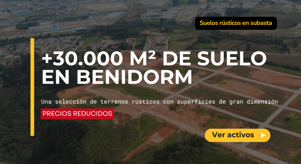 Set of rural plots in Benidorm - Commercial Court No. 1 of Alicante